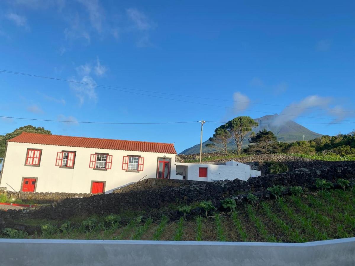 Picocomigo Villa Sao Joao  Exteriör bild
